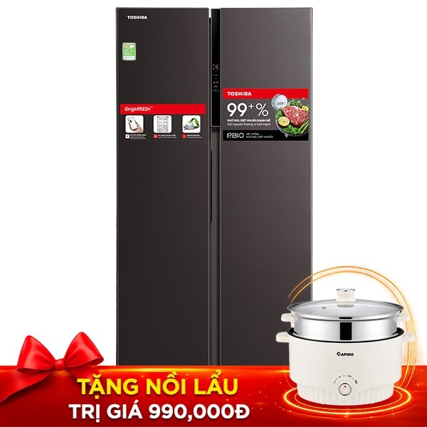 Toshiba Inverter 460 lít GR-RS600WI-PMV(37)-SG