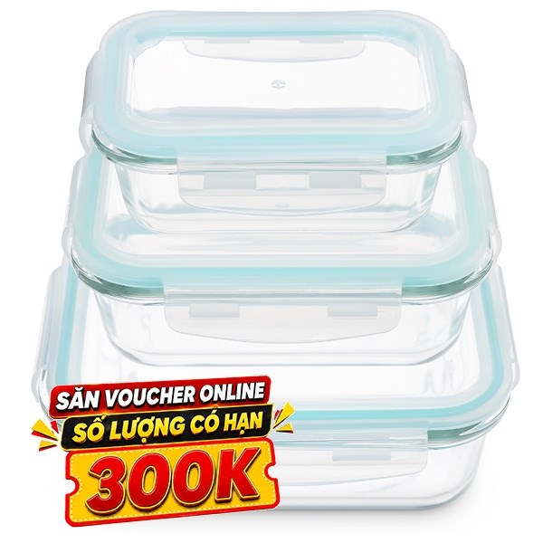 Bộ 3 hộp đựng thực phẩm thủy tinh Delites HS301RC