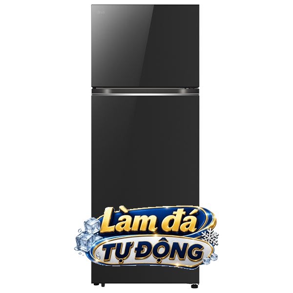 LG Inverter 315 lít LTB31BLMA
