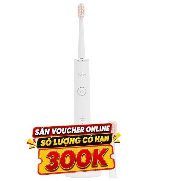 Bàn chải điện Flyco FT7108VN