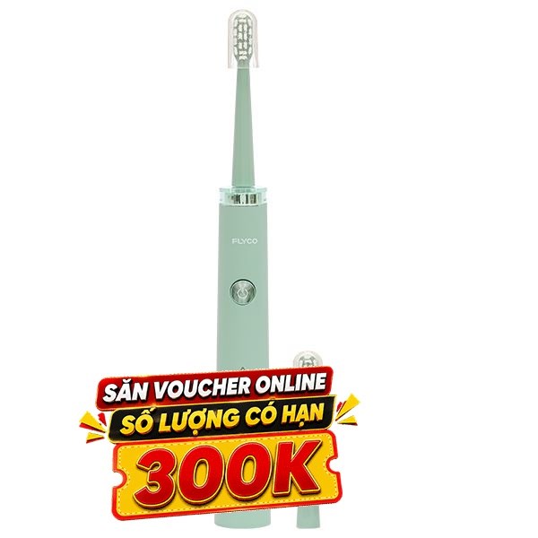 Bàn chải điện Flyco FT1701VN