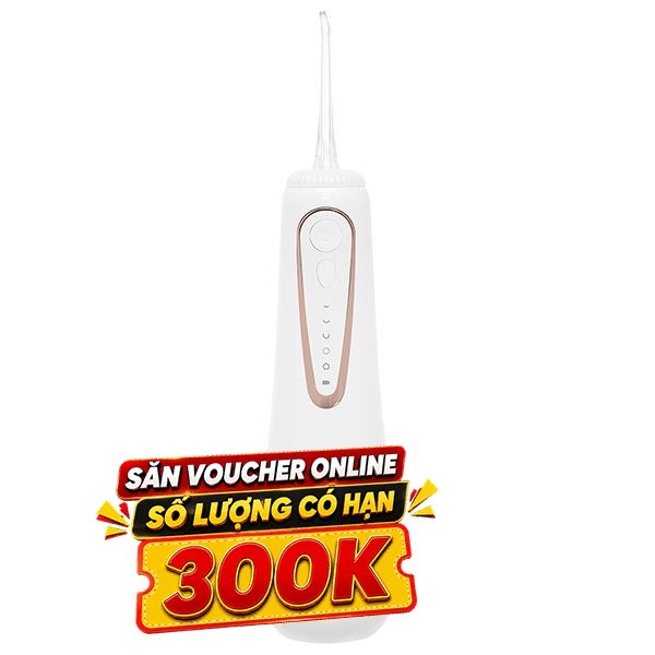Máy tăm nước cầm tay Hawonkoo WFH-001