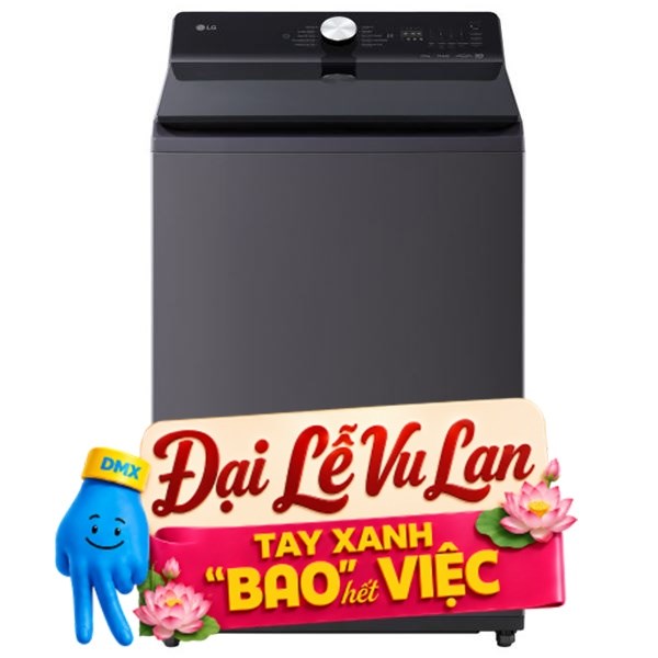 LG Inverter 25 Kg T2725SX5G