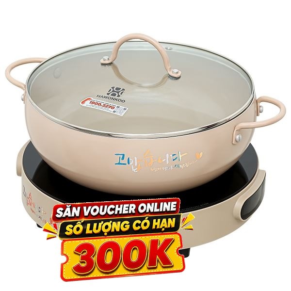 Bếp từ đơn Hawonkoo CEH-101-I-CF 2000W