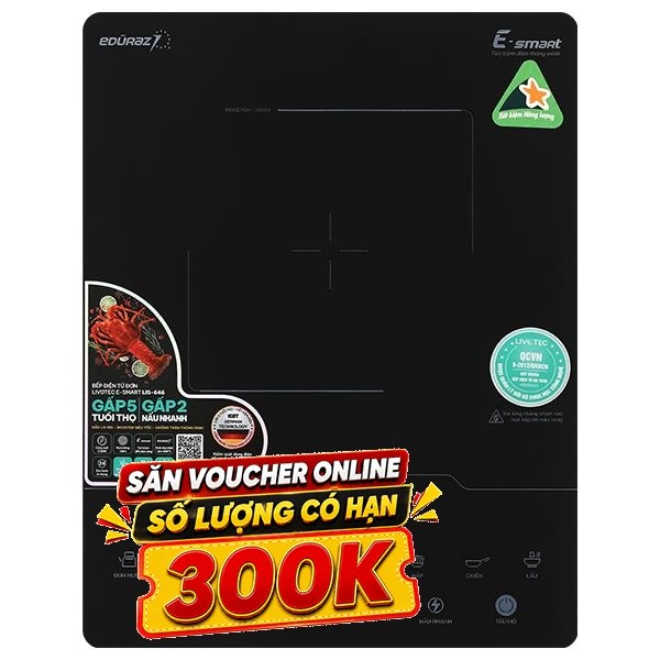 Bếp từ đơn Livotec E-smart LIS-646 2100W