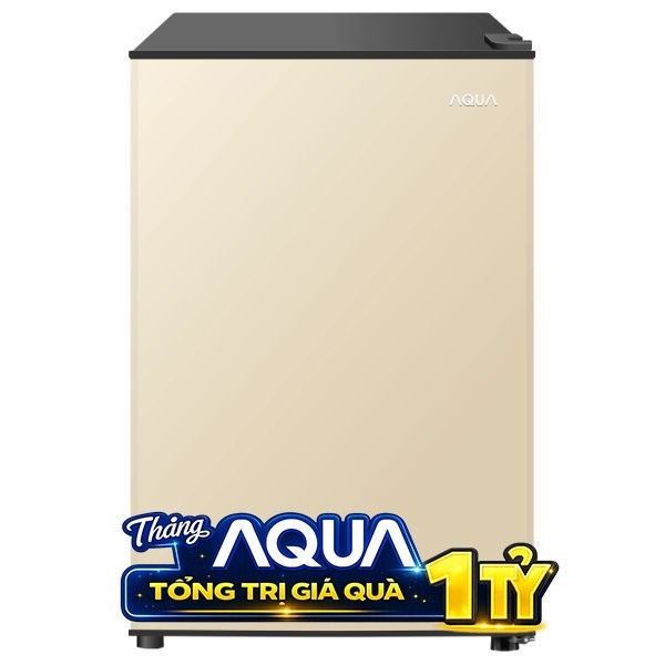 Aqua 90 lít AQR-D100FA(GG)