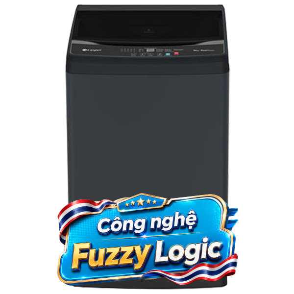 Casper Inverter 10 Kg WT-E10NGR21