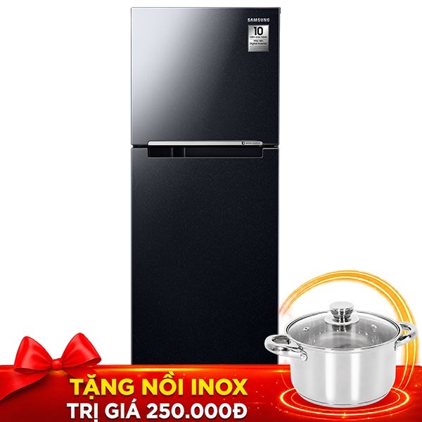 Tủ lạnh Samsung Inverter 236 lít RT22M4032BU/SV