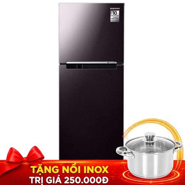 Tủ lạnh Samsung Inverter 236 lít RT22M4032BY/SV