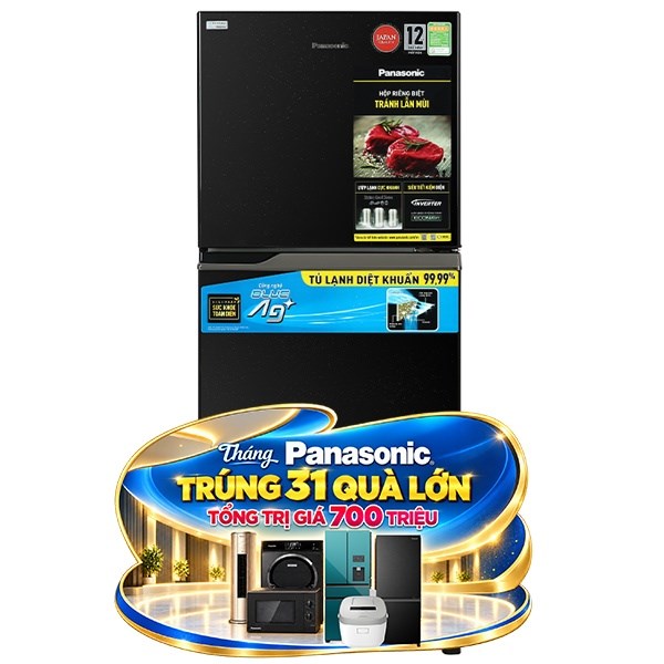 Tủ lạnh Panasonic Inverter 234 lít NR-TV261BPKV