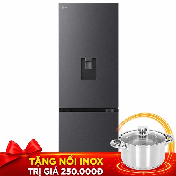 LG Inverter 332 lít LBD33BLM