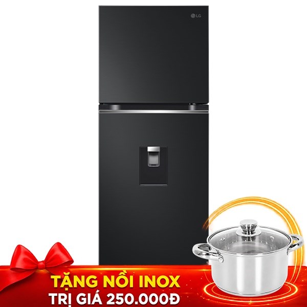 LG Inverter 314 lít LTD31BLM