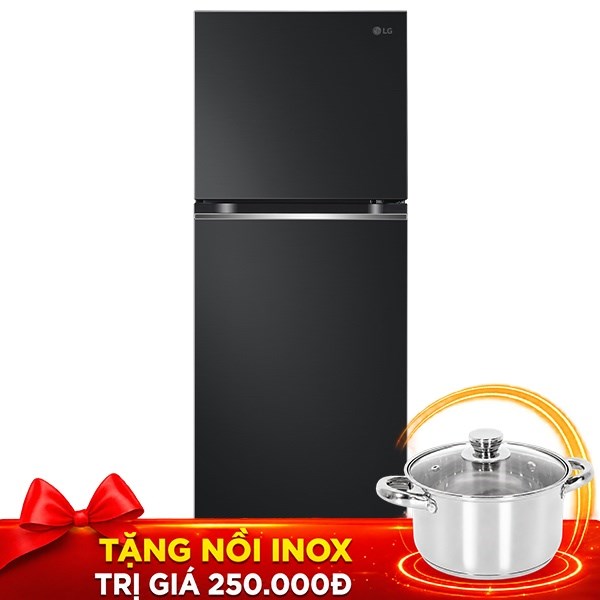 LG Inverter 315 lít LTB31BLM
