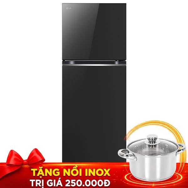 LG Inverter 335 lít LTB33BLG