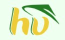 Hương Việt
