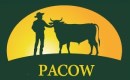 Pacow