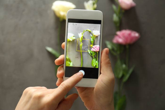 6 cách chụp ảnh hoa tuyệt đẹp, lung linh dịp Tết bằng điện thoại > Quan sát hậu cảnh khi chụp hoa