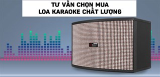 Chọn mua loa karaoke chất lượng cho dịp Tết Nguyên Đán 2022