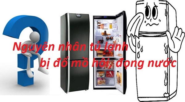 Tủ lạnh bị đọng nước (đổ mồ hôi)