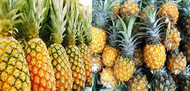 Khóm, thần dược cho nướu răng và giảm cân