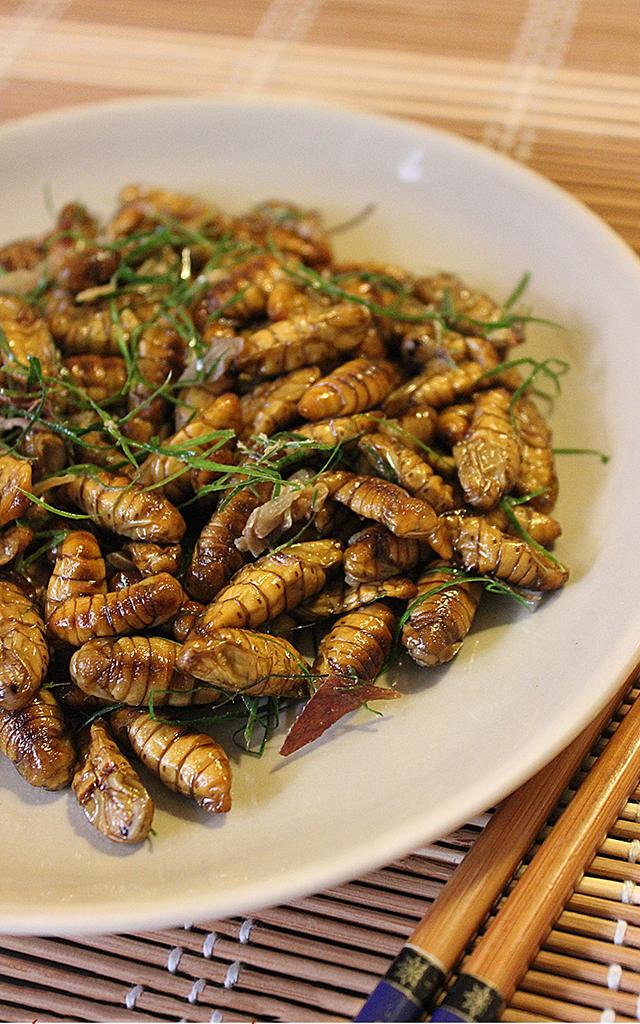 Nhộng lá chanh một món ăn cực kỳ khiêu khích người dùng