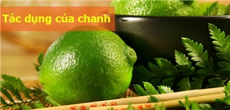 Chanh chua nhưng chanh không chảnh