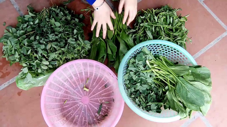 Loại bỏ những phần rau củ bị sâu