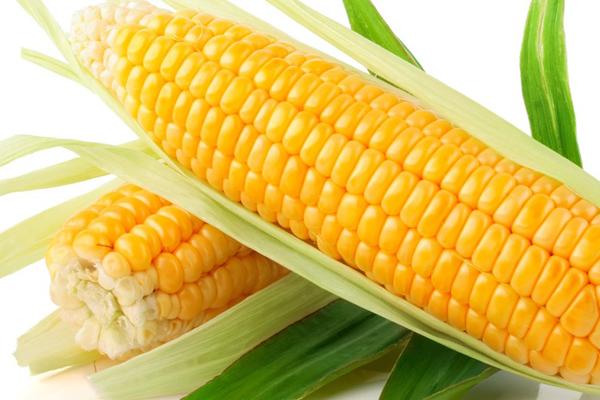 8 benefits of corn that you may not know