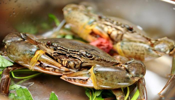 Sea crabs causing skin irritation for people with the disease