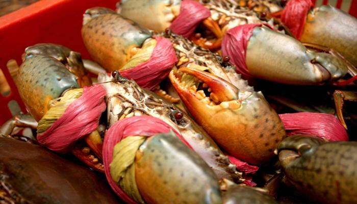 People with digestive diseases should limit eating crabs
