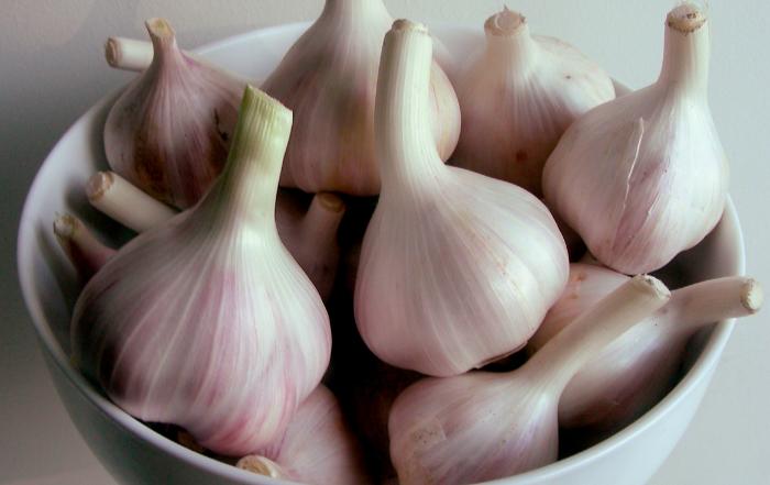 A proper way to store garlic to prevent sprouting