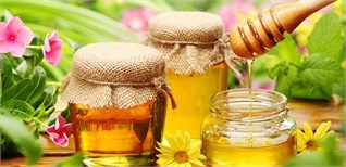Mật ong “thần dược” cho cuộc sống