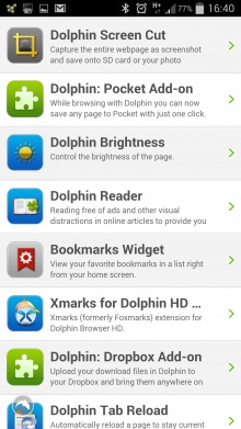 Dolphin