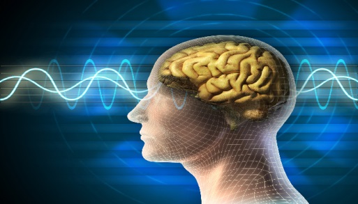 Trà xanh giúp trí não phát triển và tăng cường trí nhớ.