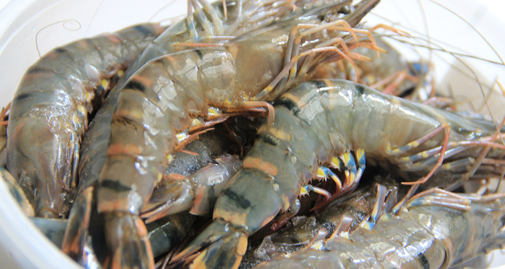 Remove fishy odor from shrimp