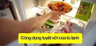 10 công dụng tuyệt vời của tủ lạnh bạn nên biết