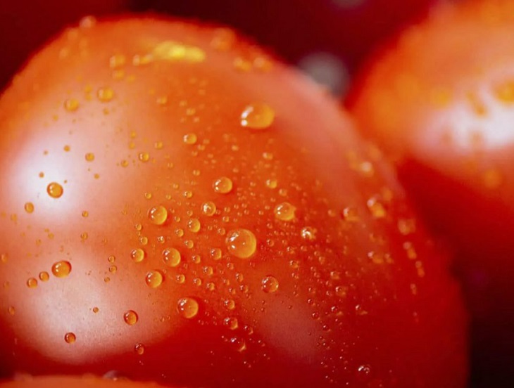 Tủ lạnh làm tươi cà chua chín