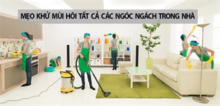 Mẹo khử mùi hôi tất cả các ngóc ngách trong nhà hiệu quả