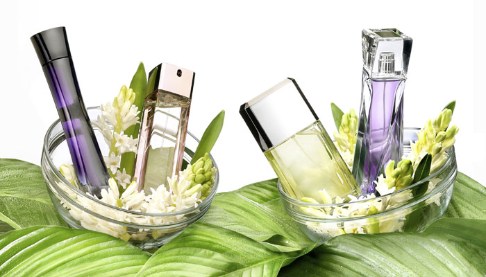 Find out specific information about your favorite perfume before buying