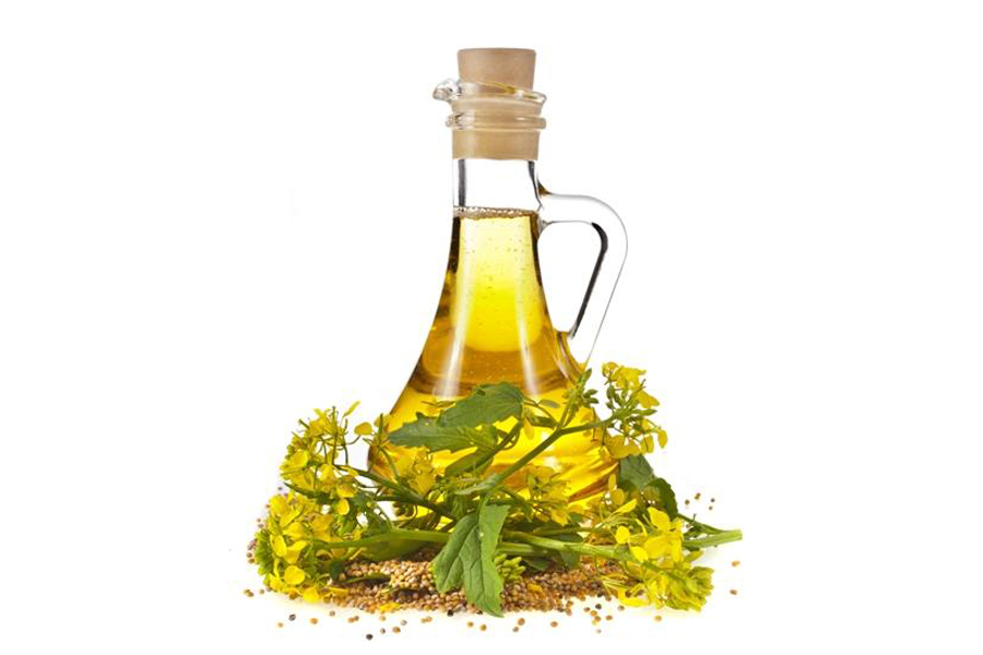 Dầu mù tạt sẽ giúp gót chân mềm hơn Dầu mù tạt sẽ giúp gót chân mềm hơn
