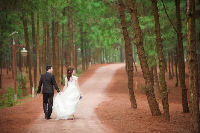 Lựa chọn không gian đồi cây như để có tấm ảnh cưới như trong truyện cổ tích