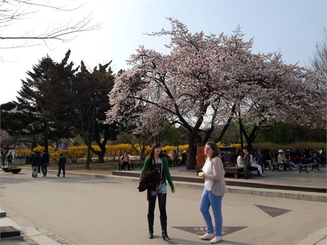 Ảnh chụp từ Lumia 830