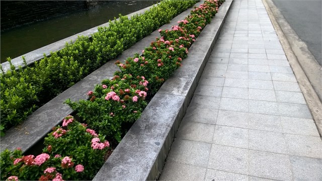 Lumia 730 camera sau