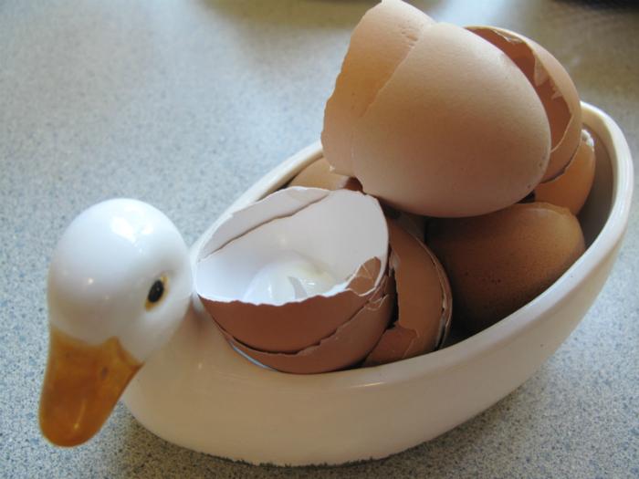 Màu của vỏ trứng là do nguồn gốc xuất xứ của gà