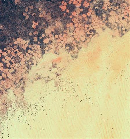 Wallpapers cho Android 5.0 Lollipop