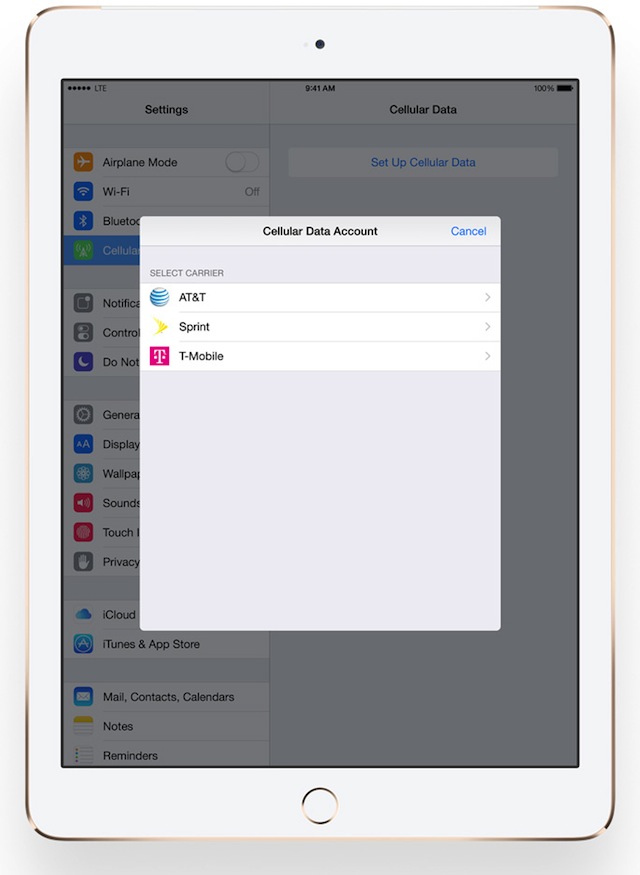Và bây giờ chỉ còn là Apple SIM