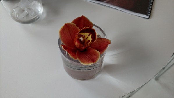 Ảnh chụp đã được resize (ảnh gốc hơn 3MB)