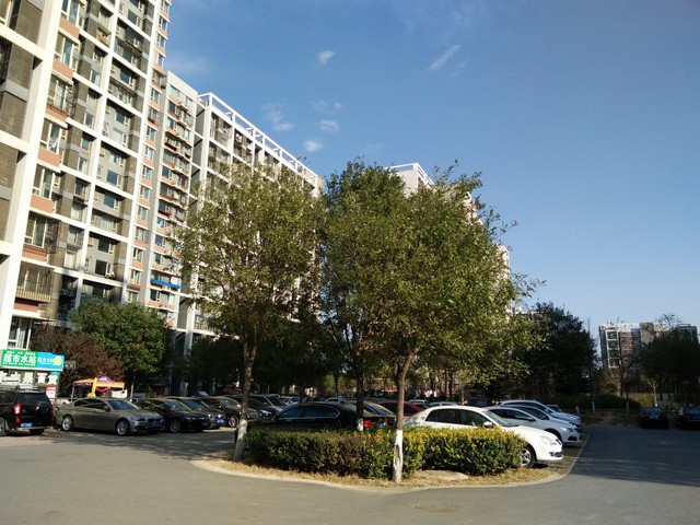 Ảnh chụp từ Oppo N3 cho chất lượng trên cả tuyệt vời