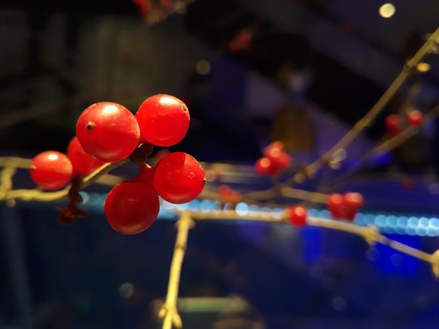 Ảnh chụp thử của Meizu MX4 Pro trong môi trường thiếu sáng