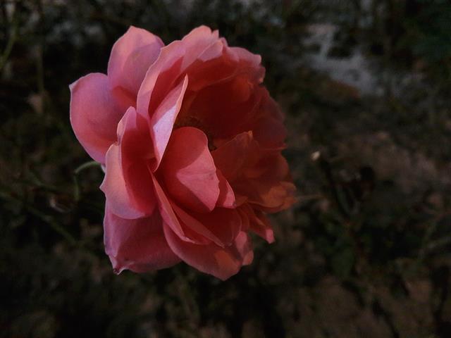 Ảnh chụp thử của Meizu MX4 Pro trong môi trường thiếu sáng